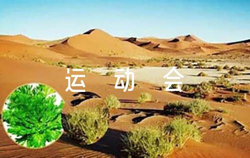 适合不同年龄段篮球爱好者的体能训练方案_2