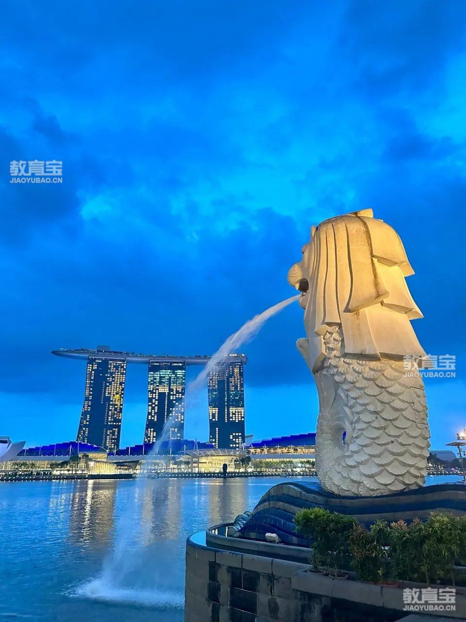 哪里能找到智能化篮球训练的应用程序_0