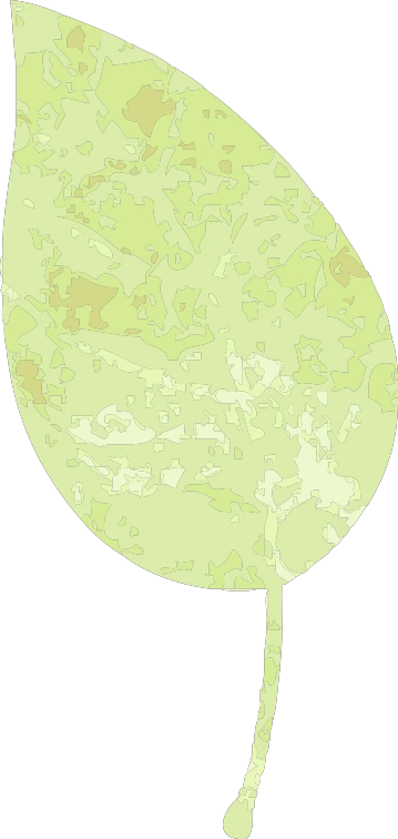 _0